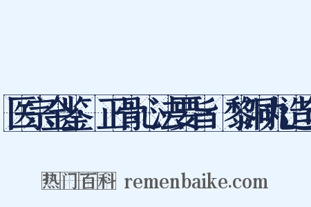 医宗金鉴·正骨心法要旨·黎洞丸造句是什么意思的图片